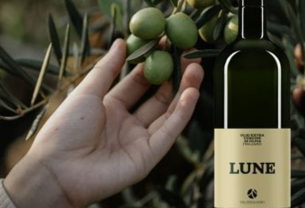 FRANTOIO D'ALESSANDRO